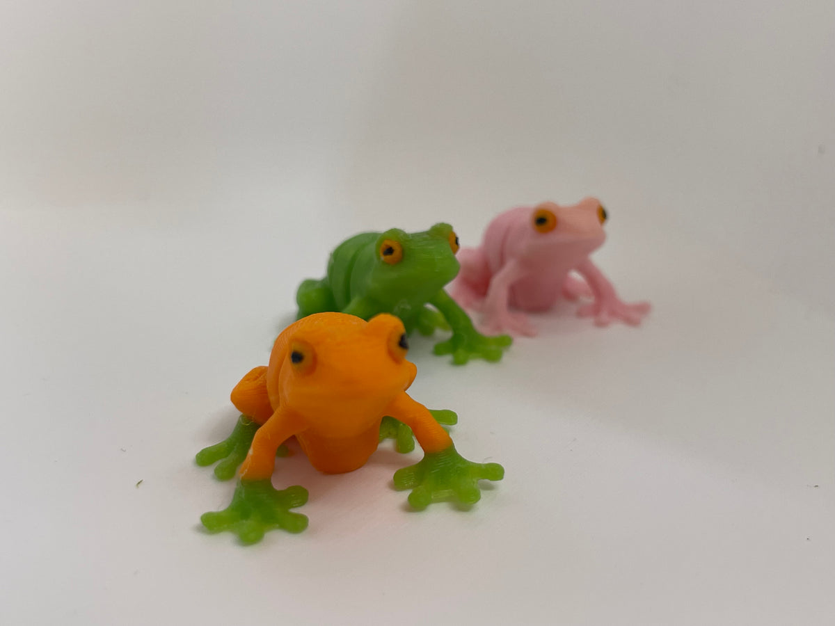Colorful Frog – 3D Printed Figurine – product photo