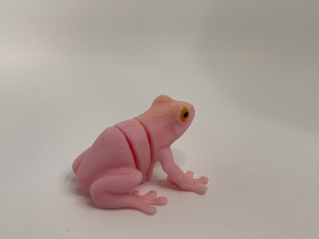 Colorful Frog – 3D Printed Figurine – additional view
