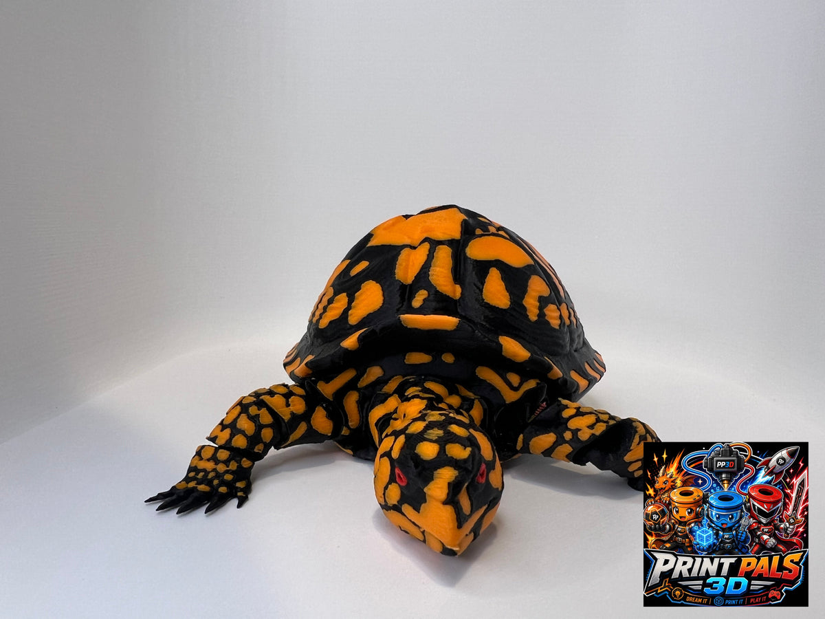 Eastern Box Turtle