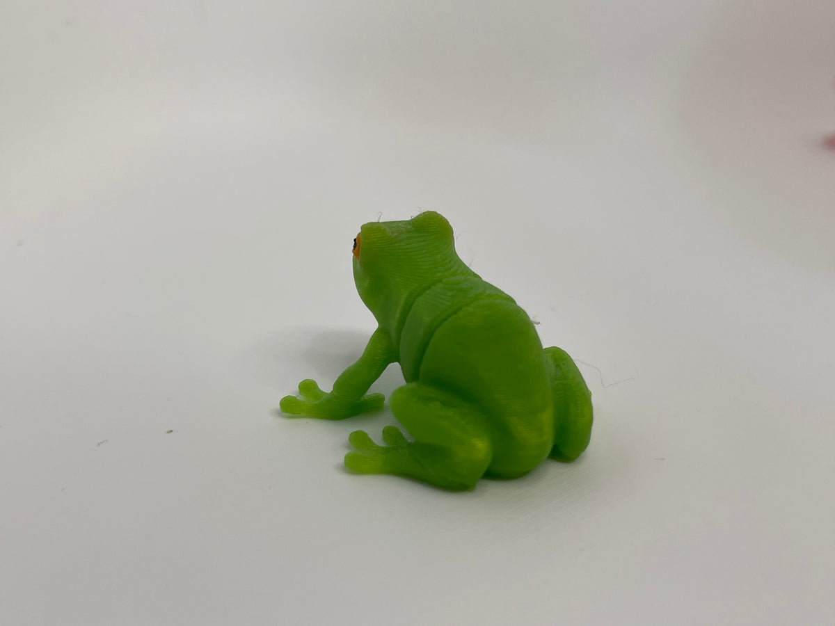 Colorful Frog – 3D Printed Figurine – additional view