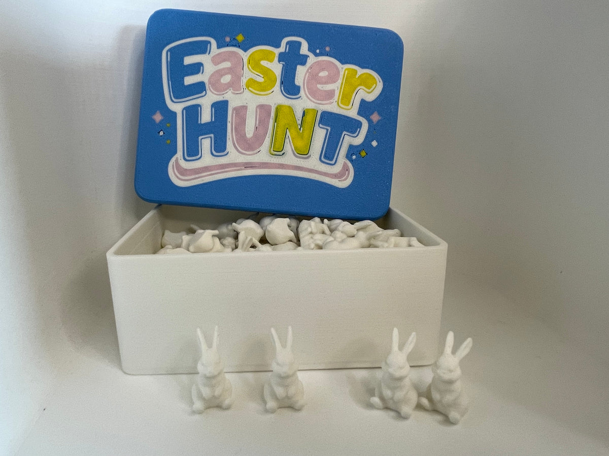 Easter Hunt Bunny Box – Seasonal Activity Set – additional view