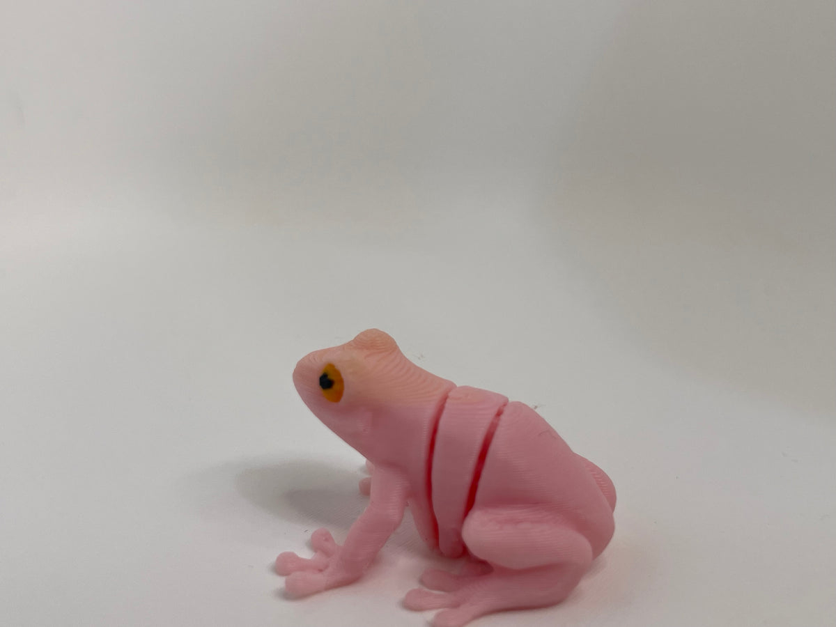 Colorful Frog – 3D Printed Figurine – product photo