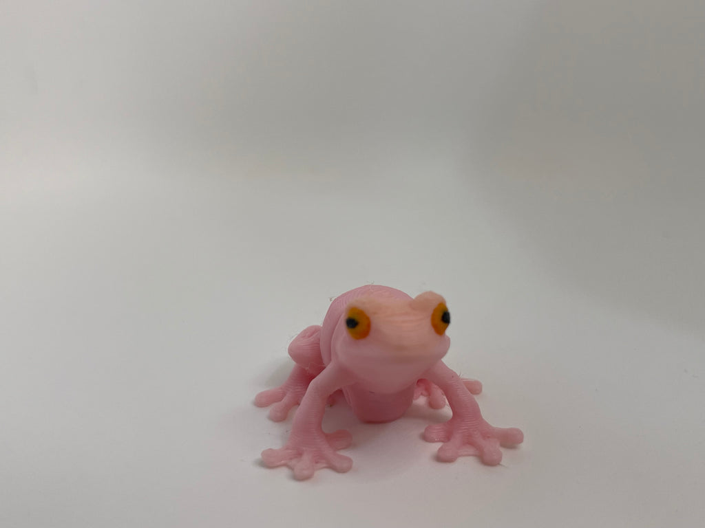 Colorful Frog – 3D Printed Figurine – product photo
