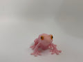 Colorful Frog – 3D Printed Figurine – product photo