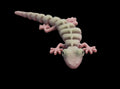 3D Printed Flexi Gecko