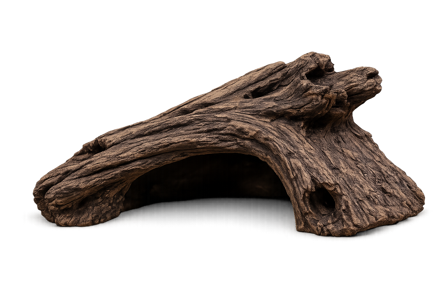 log